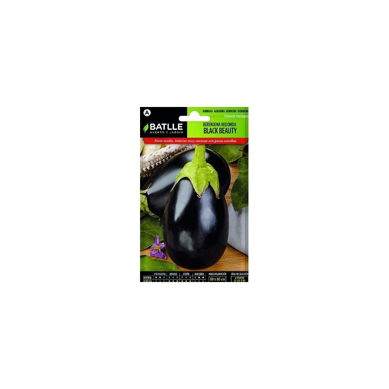 SEMILLAS BERENJENA REDONDA NEGRA 4GR