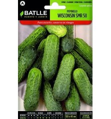 SEMILLAS PEPINILLO ENCURTIR 6GR