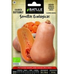 SEMILLAS ECOLOGICAS CALABAZA BATTERNUT 4GR