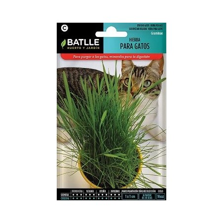 SEMILLAS HIERBA PARA GATOS 15GR