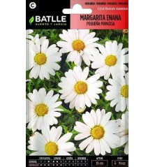 SEMILLAS MARGARITA ENANA PEQUEÑA PRINCESA 1.5GR