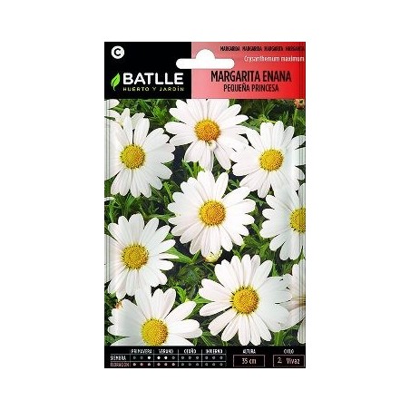 SEMILLAS MARGARITA ENANA PEQUEÑA PRINCESA 1.5GR