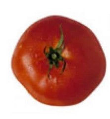 TOMATE CASTELLANO ROZABELLA BANDEJA 12 PLANTONES