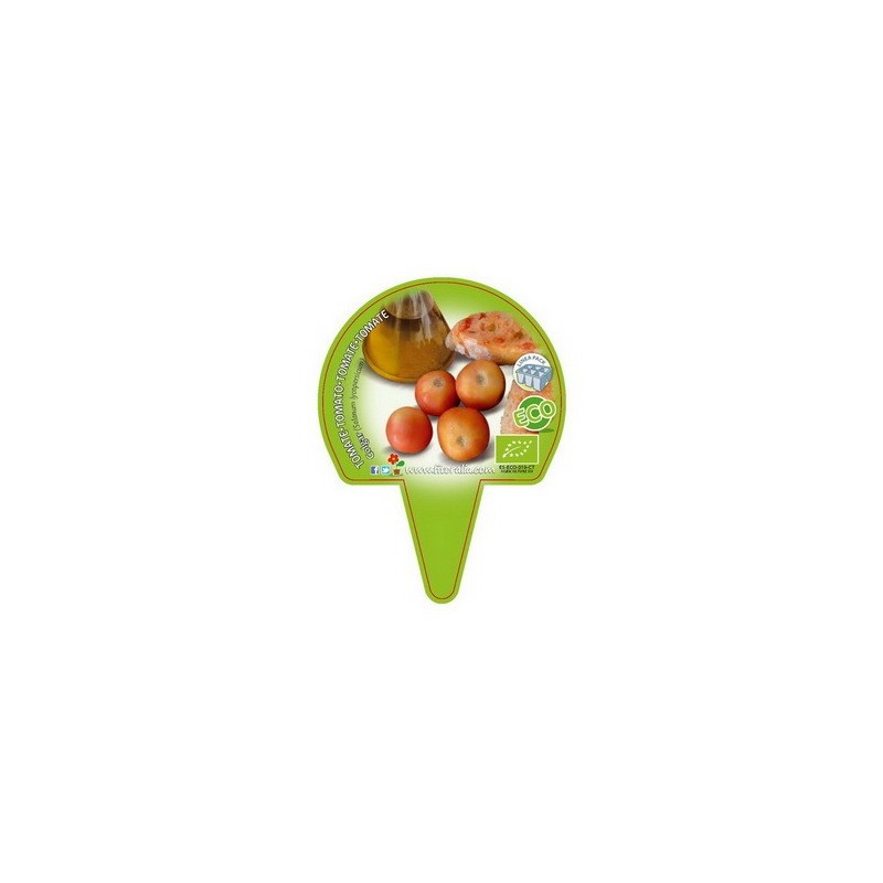 TOMATE COLGAR PRODUCTO NATURAL BANDEJA 12 PLANTONE