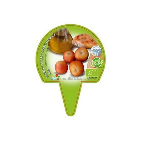 TOMATE COLGAR PRODUCTO NATURAL BANDEJA 12 PLANTONE