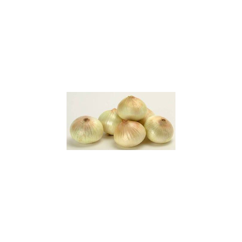 CEBOLLA DE FUENTES PRODUCTO NATURAL BANDEJA 12 PLA