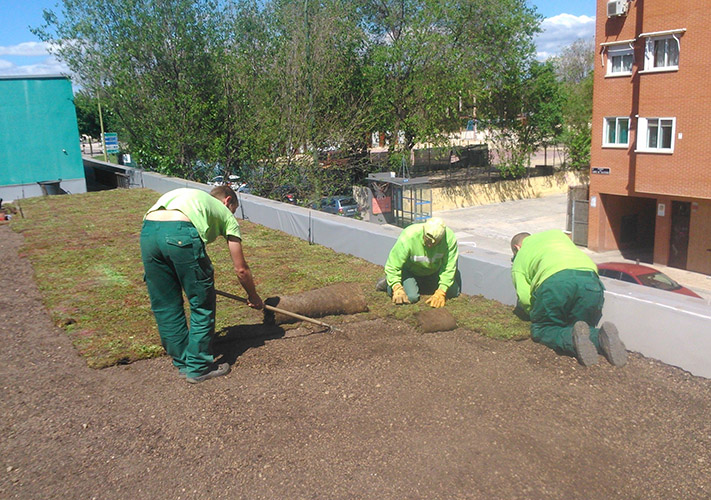 cubiertas_verdes.jpg