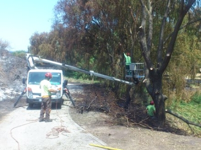 ACTUACIÓN DE HELECHOS EN LAS LABORES DE ENFRIAMIENTO Y LIMPIEZA DE RESTOS DEL INCENDIO DEL ENTORNO DEL PARQUE BUTARQUE