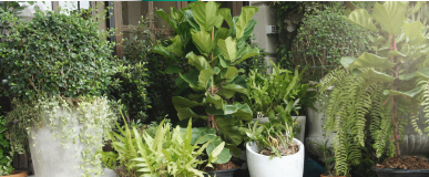  PLANTA DE EXTERIOR 
