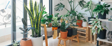  PLANTA DE INTERIOR 